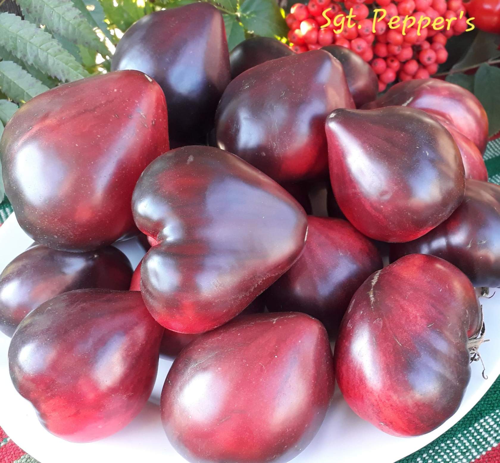 Вкусные томаты повышенной пользы — «подарок феи»: описание сорта, его характеристики и выращивание