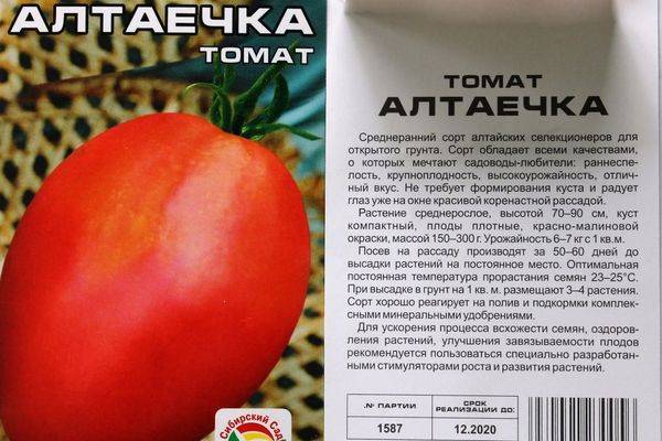Сорта томатов сибирской селекции