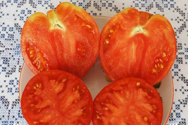 Описание сорта томата дакоста португальская и его характеристика