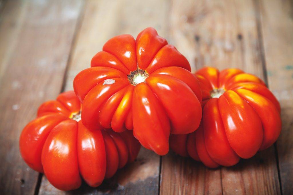 Характеристика и описание сорта томата Грибное лукошко, его урожайность