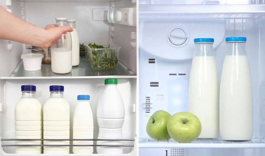 Срок годности и правила хранения молока
