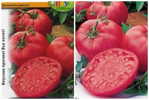 Сорт томат «биг биф» — характеристика и описание
