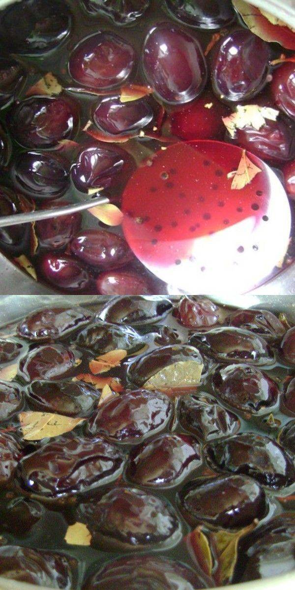 Маринованные сливы на зиму золотые рецепты с чесноком с помидорами закусочная без стерилизации как «оливки»