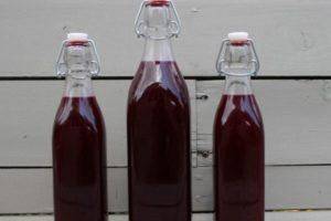 Как приготовить вино из черноплодной рябины — домашние рецепты