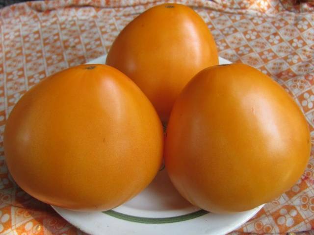 Яркий сорт с насыщенным вкусом — томат «золотая пуля»: выращиваем урожай на зависть всем соседям