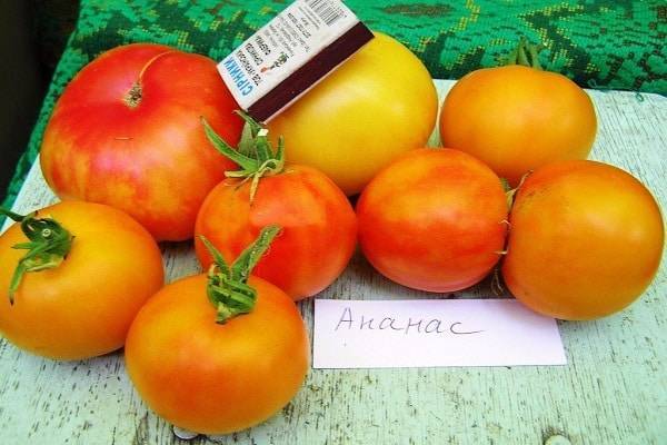 Описание сорта томата черный ананас и особенности выращивания