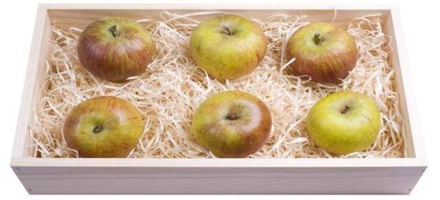 Как сохранить яблоки в домашних условиях