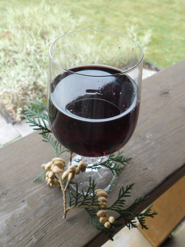 Вино из черники - 7 простых рецептов в домашних условиях