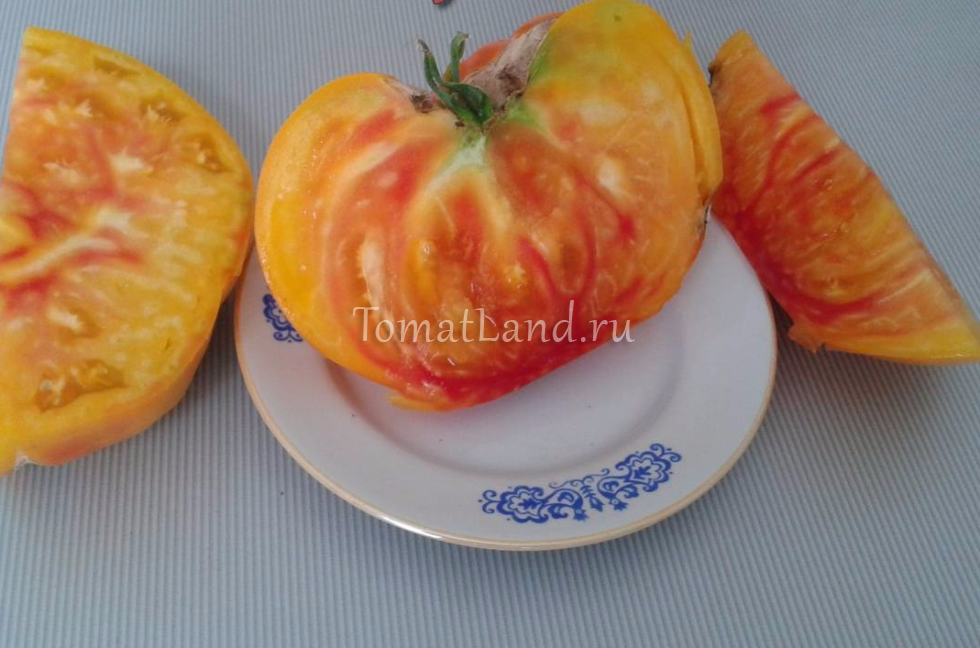 Характеристика и описание сорта томата Грейпфрут