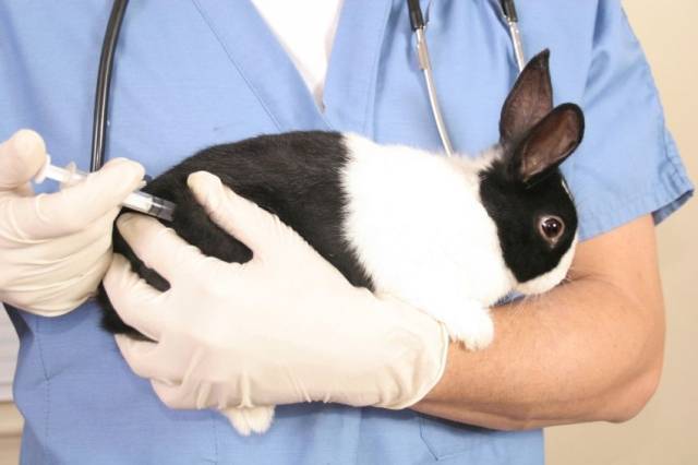 Ассоциированная вакцина для кроликов