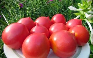 Вкусный и лёгкий в выращивании гибридный сорт томат «новичок розовый»