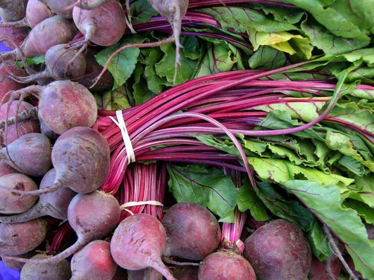 Высокая урожайность и морозостойкость – свекла боро f1. описание сорта и инструкция по выращиванию овоща