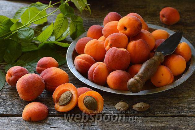 Как правильно хранить свежие абрикосы – проверенные способы