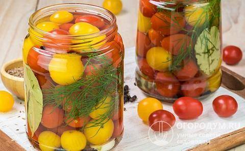 7 потрясающих рецептов маринованных помидоров на любой вкус (с фото)