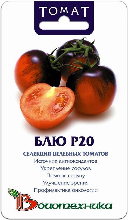 Описание томата черника: характеристика, урожайность, целебные свойства