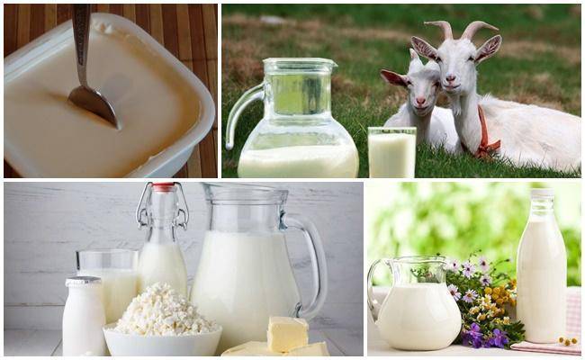 Козье молоко: польза и вред для здоровья, долголетия и красоты