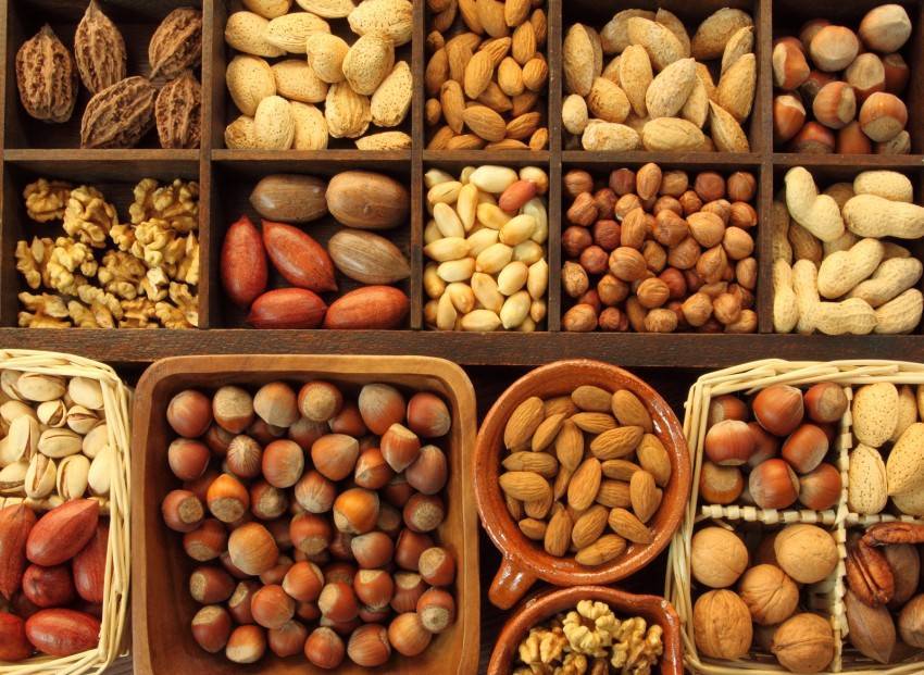Описание сортов и видов арахиса, полезные и вредные свойства, посадка и уход