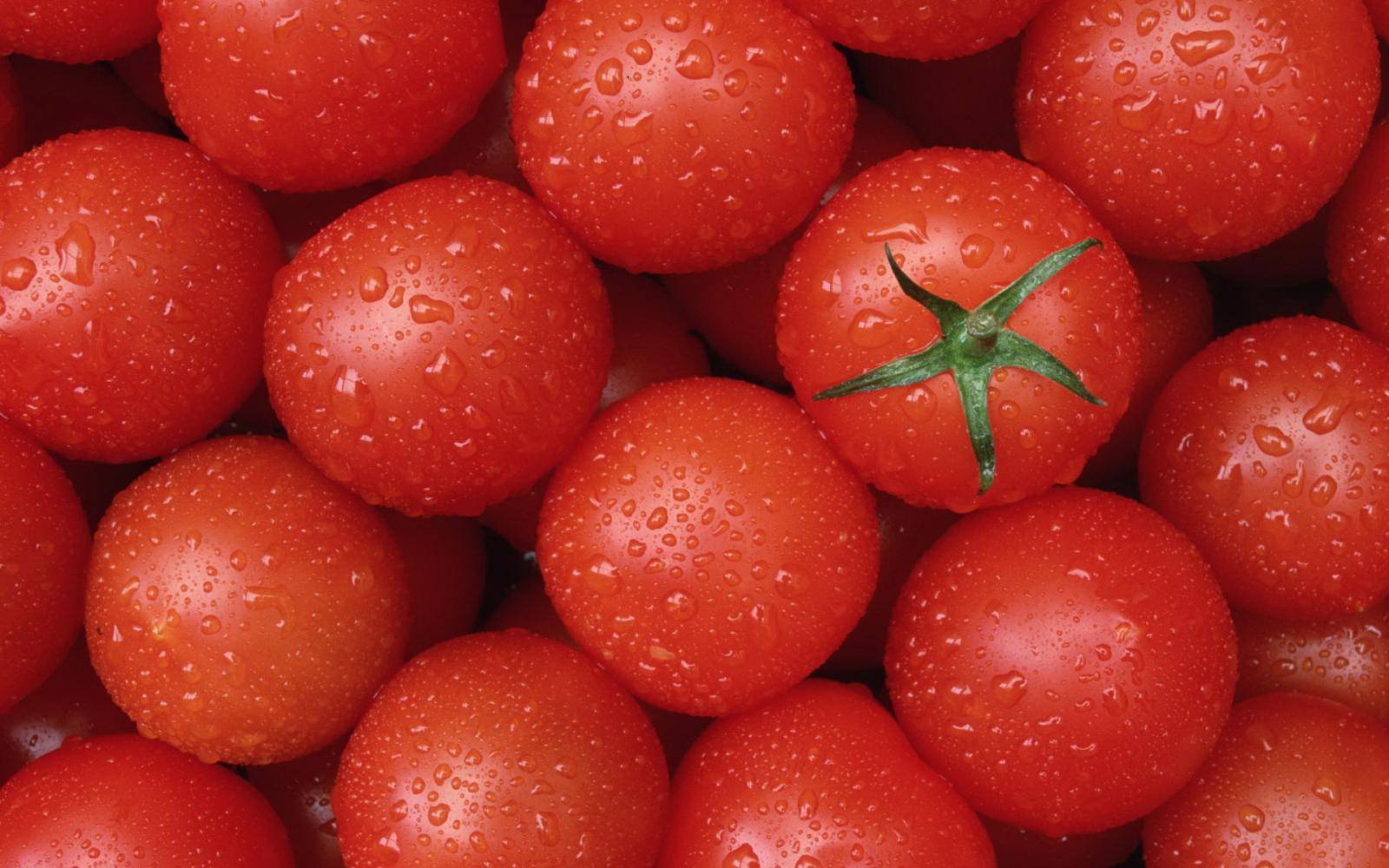 Что это такое — детерминантный сорт помидор