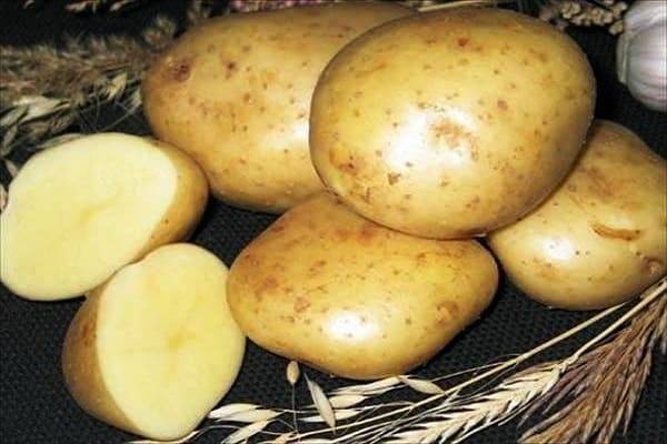 Что это за сорт картошки «дрова» и существует ли он на самом деле?