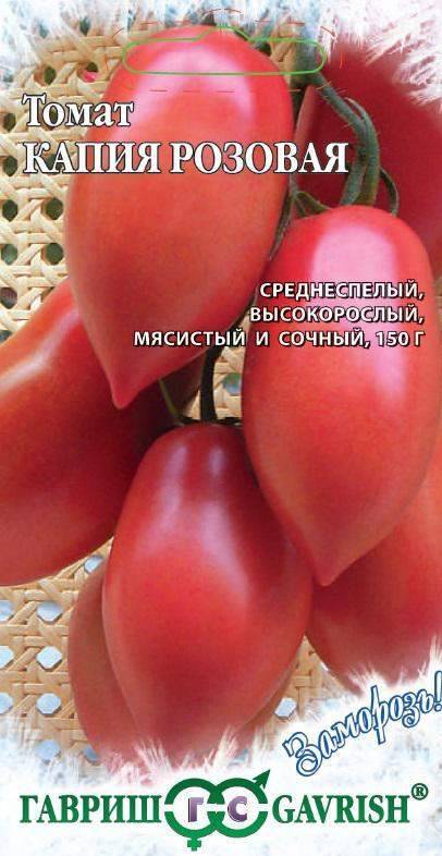 Удостоившийся похвалы многих садоводов — томат малиновый ожаровский: описание помидоров