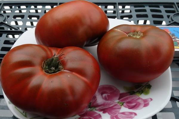 Неповторимый и запоминающийся томат «полосатый шоколад»: описание сорта, фото
