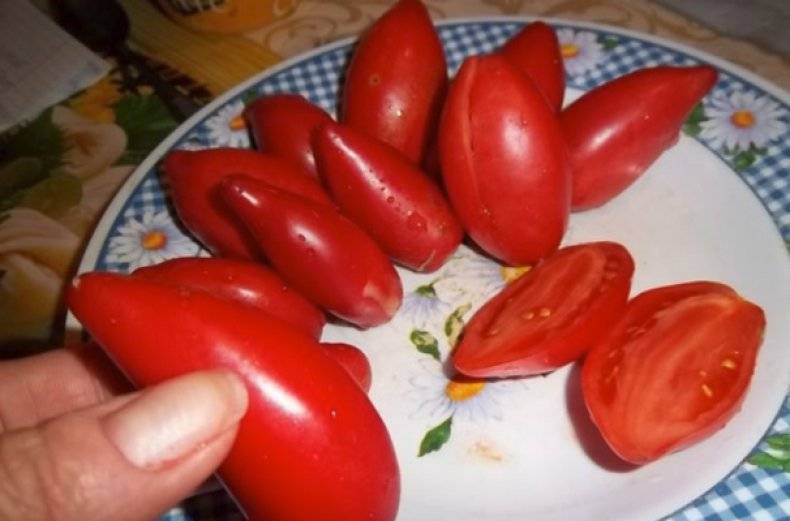 Изящный и вкусный томат «супермодель»: описание сорта, фото