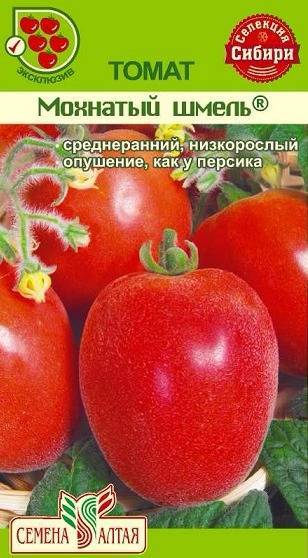 Описание сорта томата Мохнатый шмель, особенности выращивания и ухода