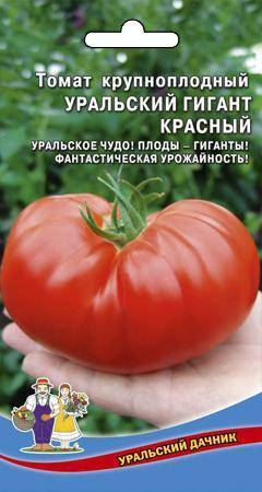 Характеристика и описание сорта томата Уральский гигант, его урожайность