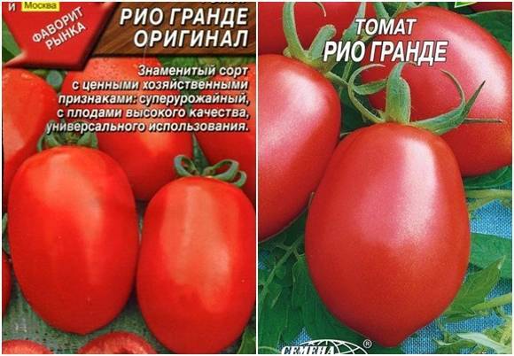 Характеристика и описание сорта томата блэк черри, урожайность