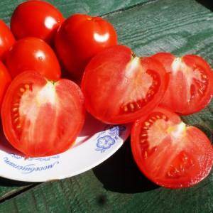 Описание сорта томатов катя