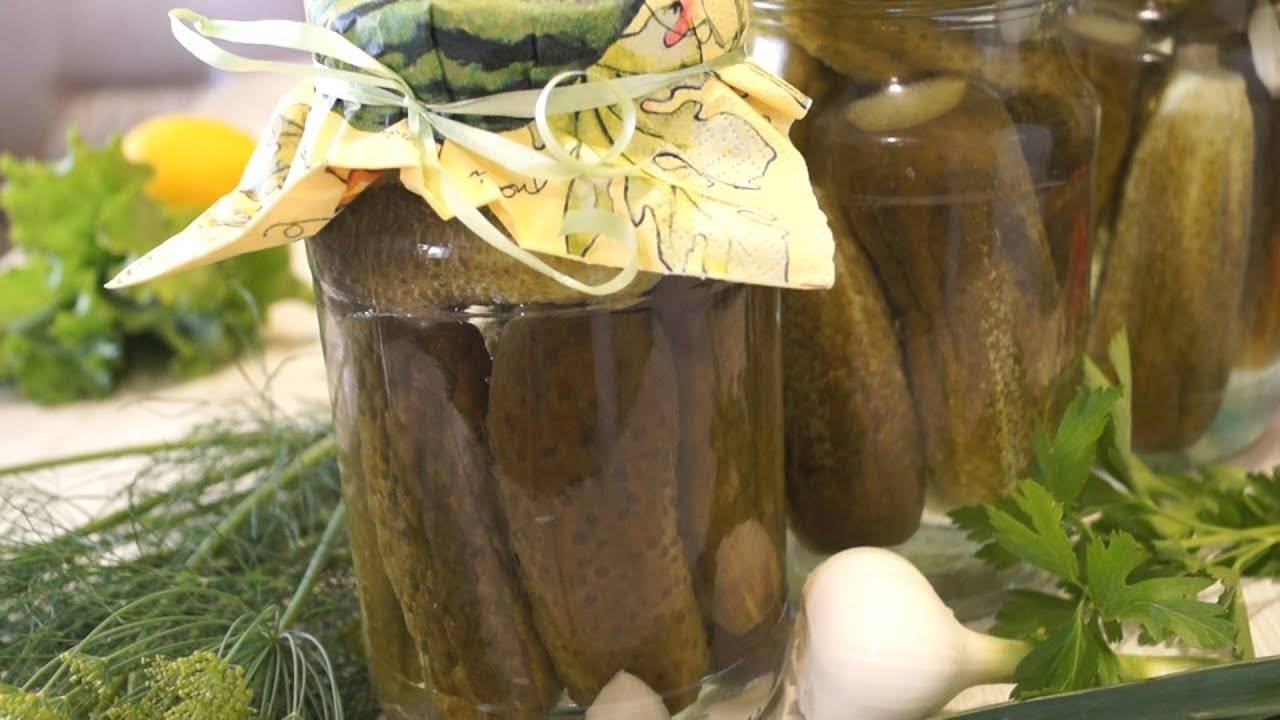 Огурцы солёные на зиму. самые вкусные рецепты хрустящих огурцов в банках