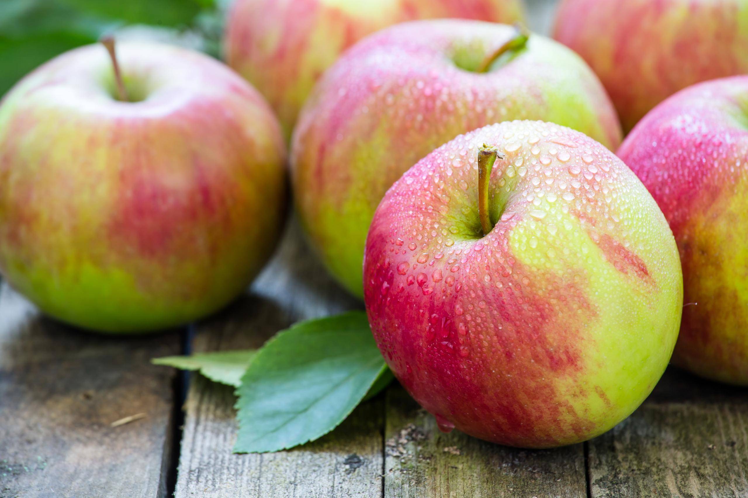 Польза и вред персиков для здоровья, состав, правила выбора и свойства