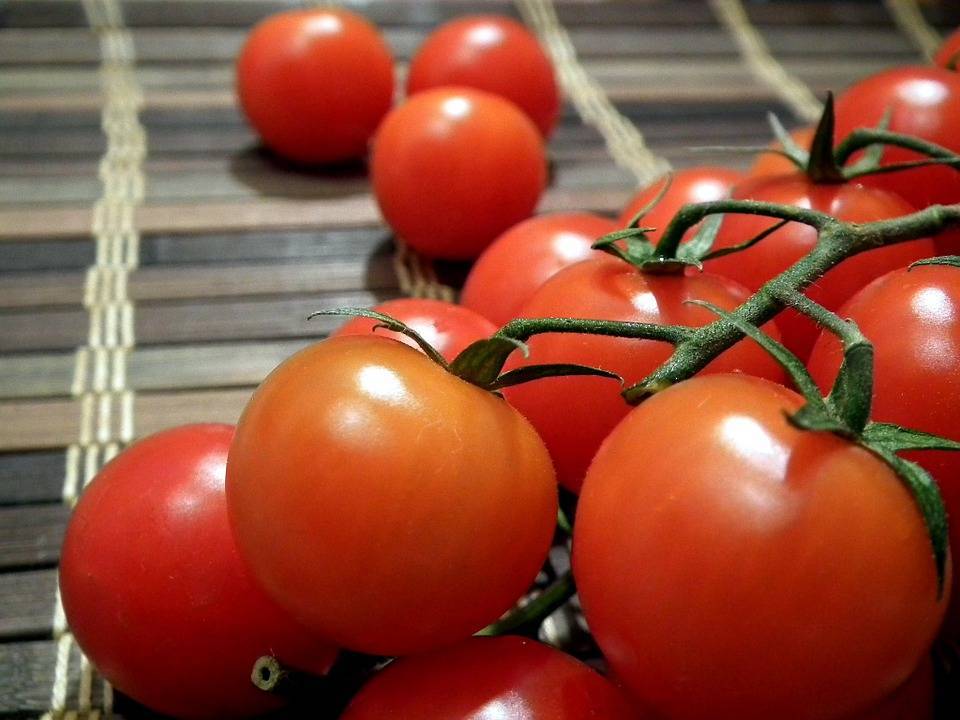Выращивание томатов по лунному календарю в 2020 году