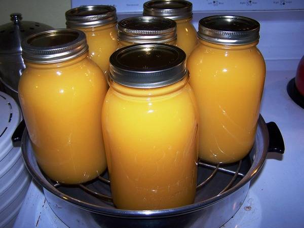 Тыквенный сок в домашних условиях на зиму: очень вкусный сок из тыквы