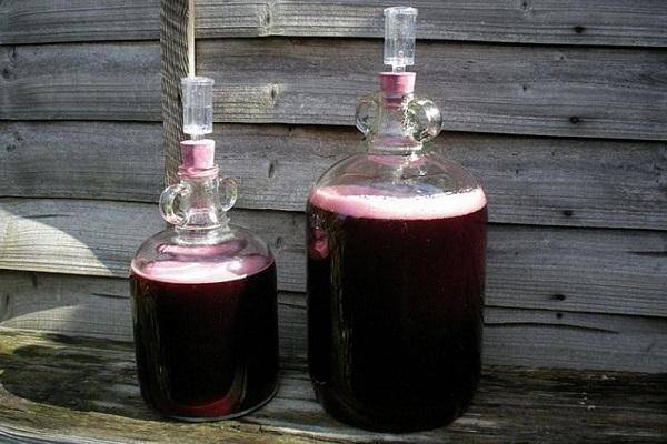 Правила хранения вина в дубовой бочке в домашних условиях, особенности выдержки