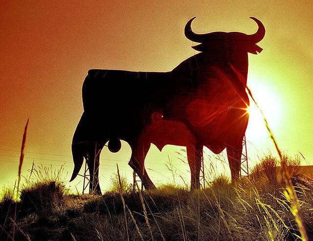 Кастрация быков: открытым, перкутанным и химическим способами