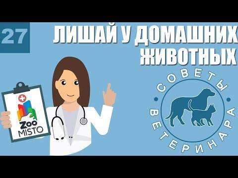 Лечение и профилактика болезней коз