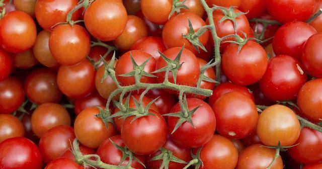 Описание сорта томата Оранжевая шапочка, его характеристика и урожайность