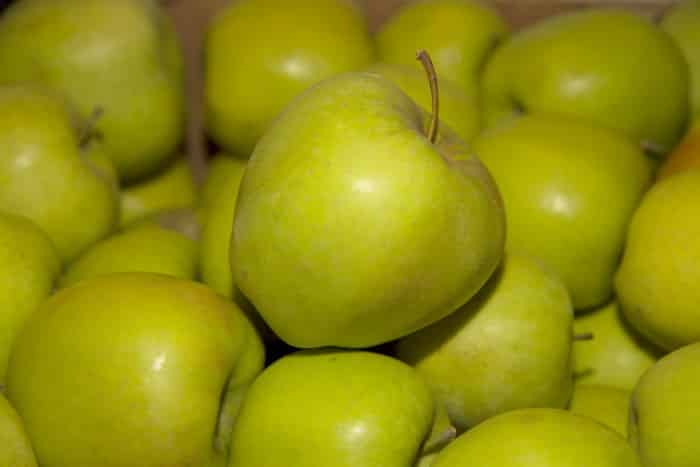 Описание и разновидности яблок Голден Делишес, выращивание и правила ухода