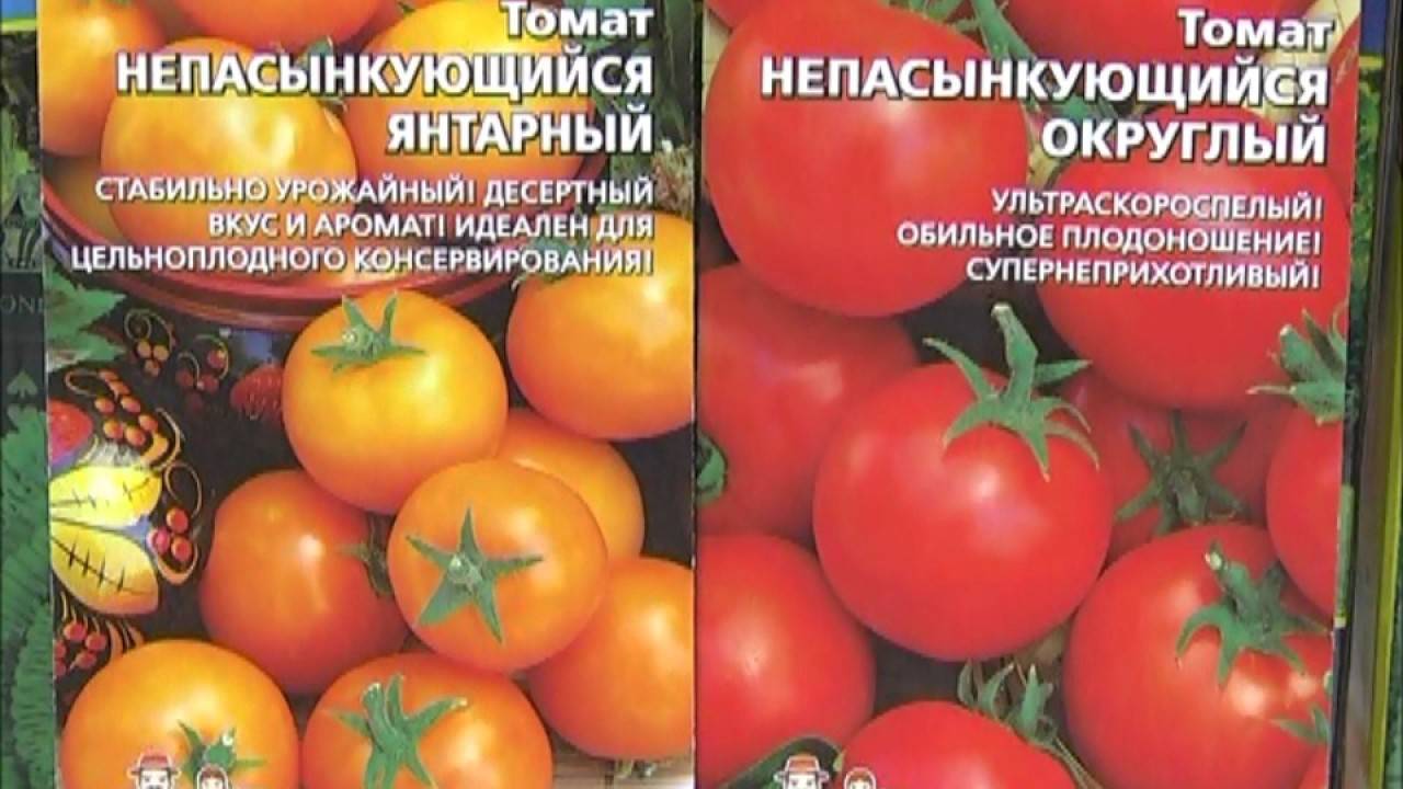 Что такое томат непас (непасынкующийся), чем он хорош, как его выращивают и какие сорта считаются самыми лучшими