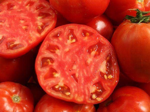 Сорт (гибрид) томата «чемпион f1»: описание, характеристика, посев на рассаду, подкормка, урожайность, фото, видео и самые распространенные болезни томатов