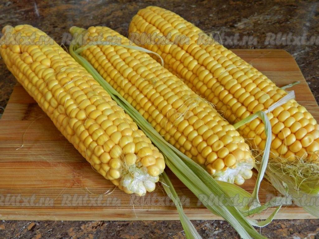 Условия и срок хранения кукурузы в домашних условиях