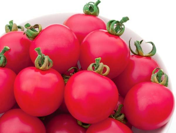 Гибрид томата «пинк импрешн f1»: фото, отзывы, описание, характеристика, урожайность