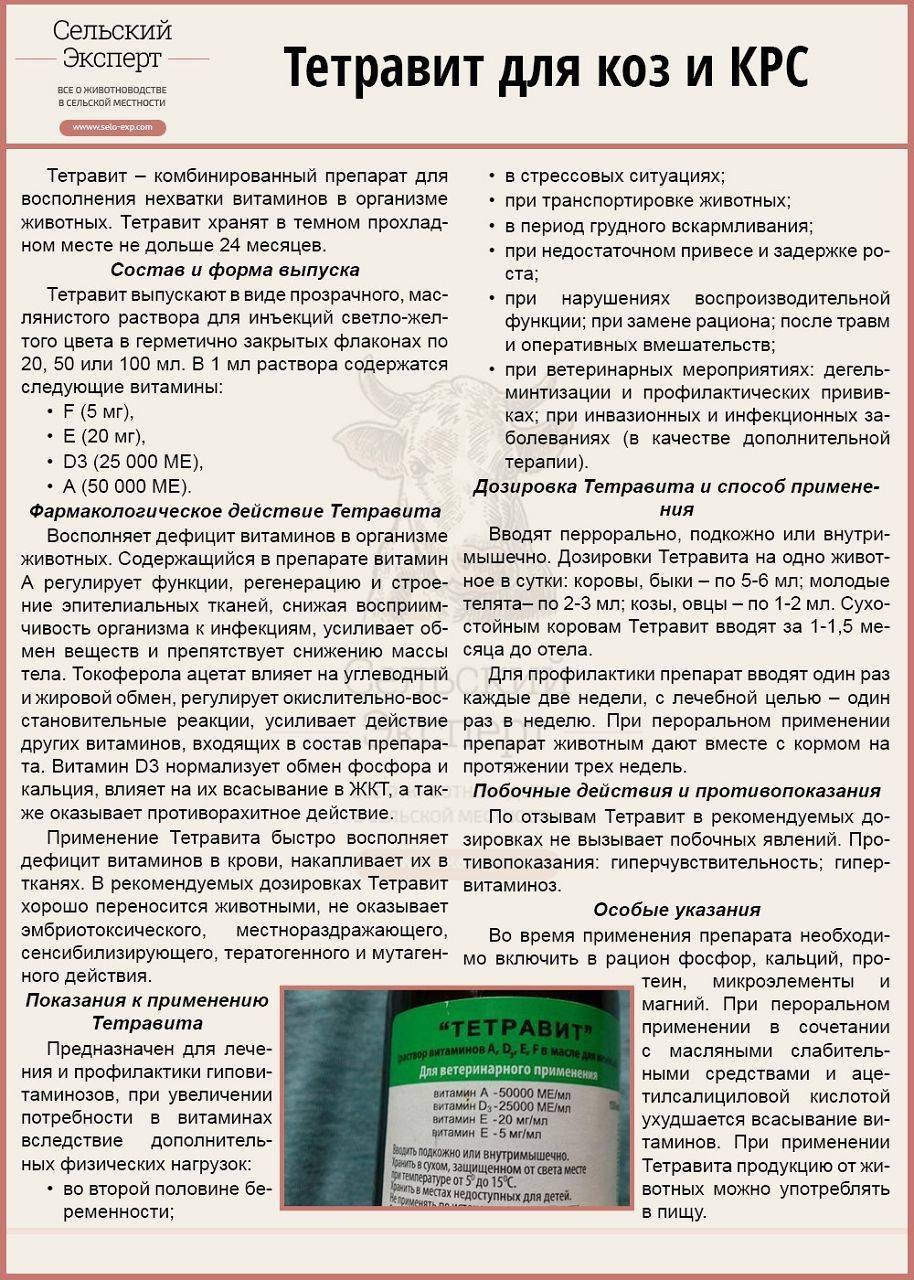 Тетравит для животных инструкция для телят. Тетравит для телят. Витамины тетравит. Тетравит ветеринарный препарат. Тетравит для животных инструкция по применению для телят.