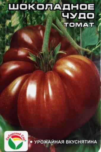 Фото, видео, характеристика, урожайность, отзывы и описание сорта томата «шоколадное чудо»