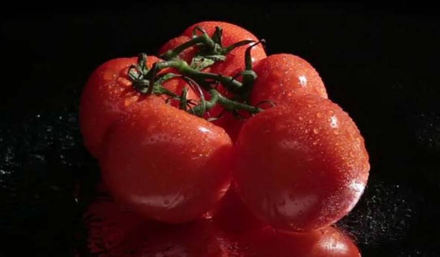 Как приготовить раствор борной кислоты для завязи помидоров: пропорции и инструкция по обработке томатов