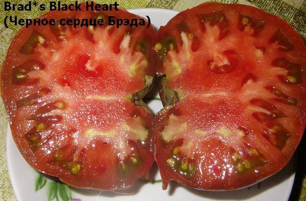 Фото, отзывы, описание, характеристика и урожайность сорта помидора «черное сердце бреда»