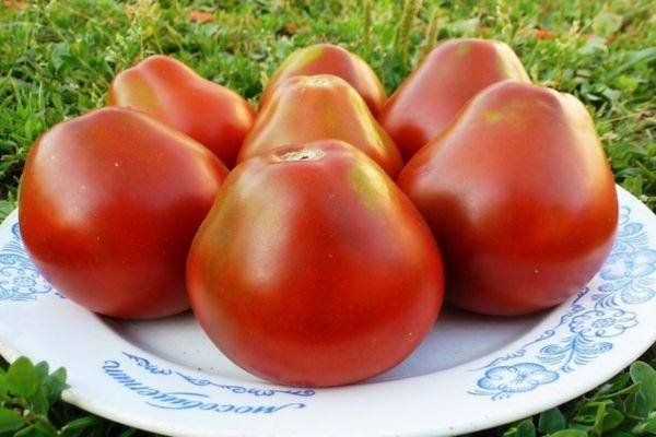 Отличительные характеристики плодов сорта томата «груша розовая»