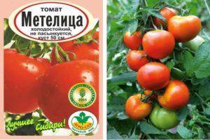 Мелкие сорта помидоров: обзор, описание, особенности выращивания. мелкоплодные сорта томатов