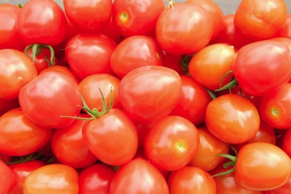 Вкусный и капризный гибрид f1- сорт томата «черри ира»! фото, описание и рекомендации по посадке и уходу